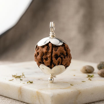 Sacred Rudraksha Pendant with Real Silver Caps